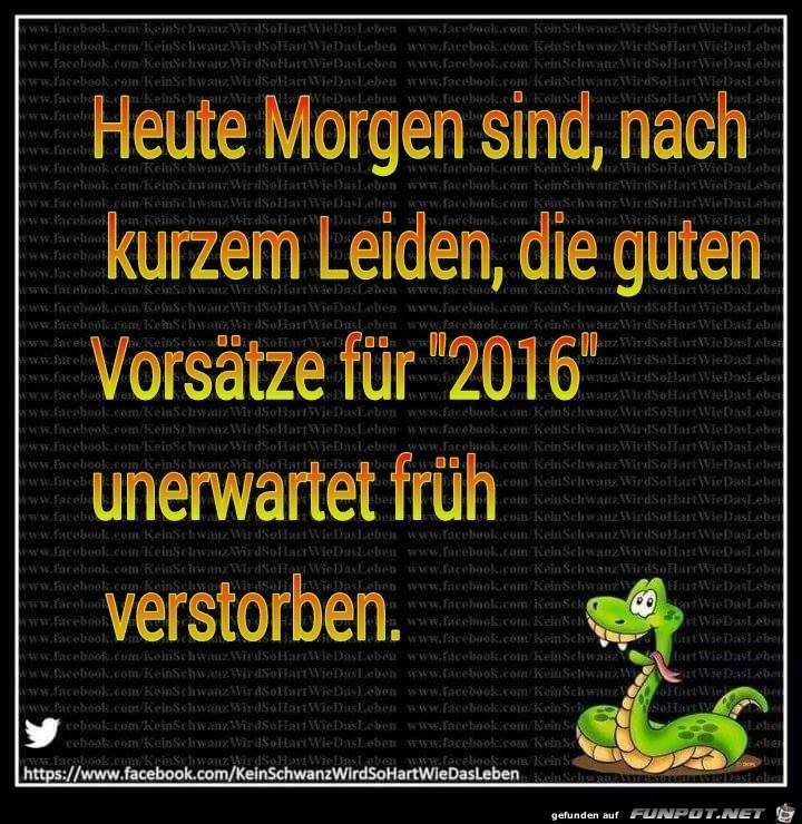 Heute Morgen Heute Morgen