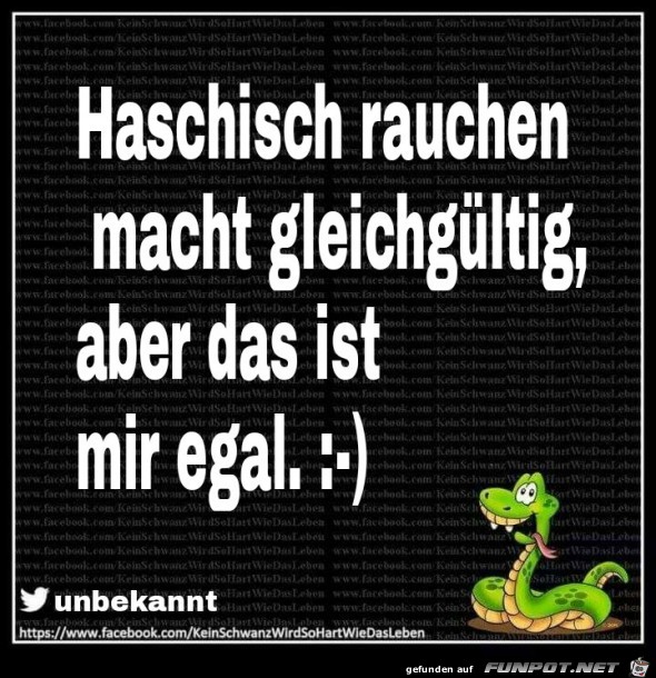 Mir egal Mir egal