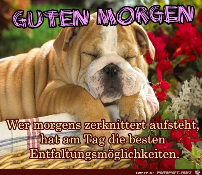 Guten Morgen