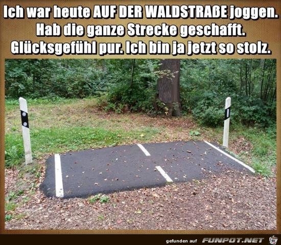 ich habe die ganze Straße geschafft ich habe die ganze Straße geschafft