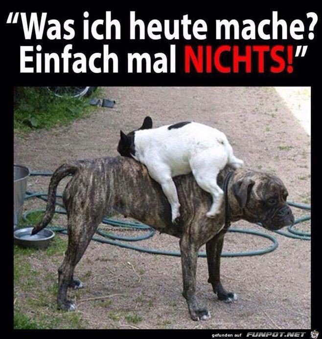 Einfach nichts