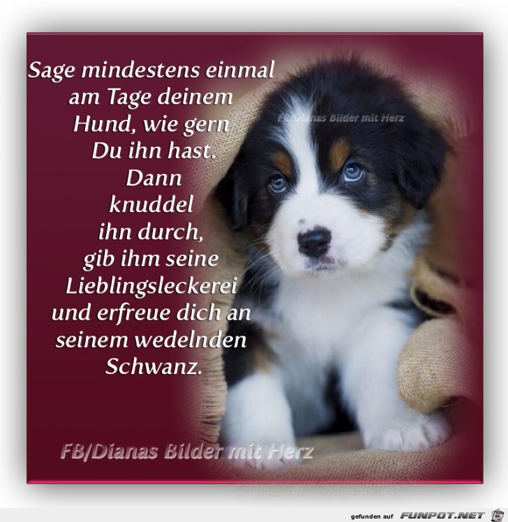Sage mindesden einmal am Tag Sage mindesden einmal am Tag