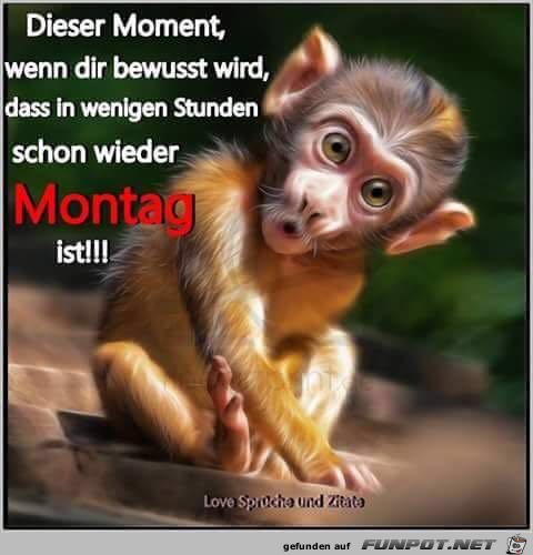 Dieser Moment