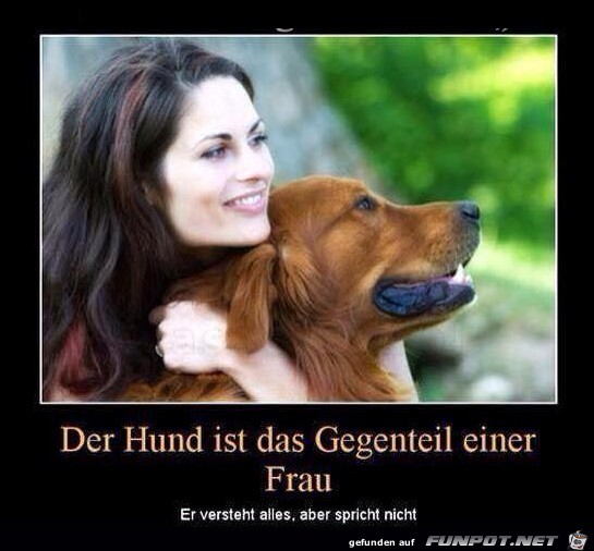 Der kleine Unterschied Der kleine Unterschied