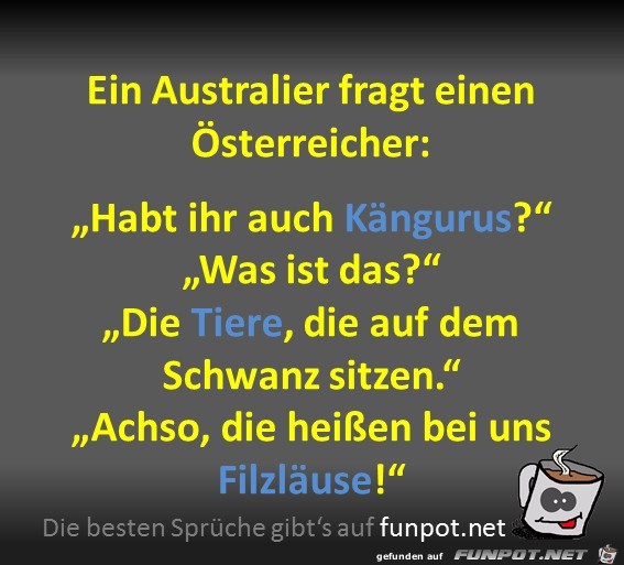 Falsch verstanden Falsch verstanden