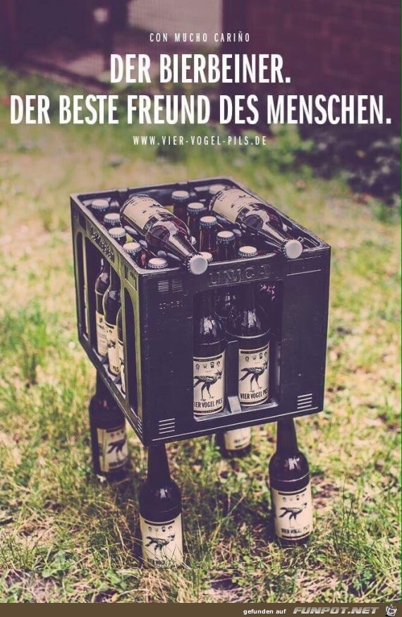 Bierbeiner Bierbeiner