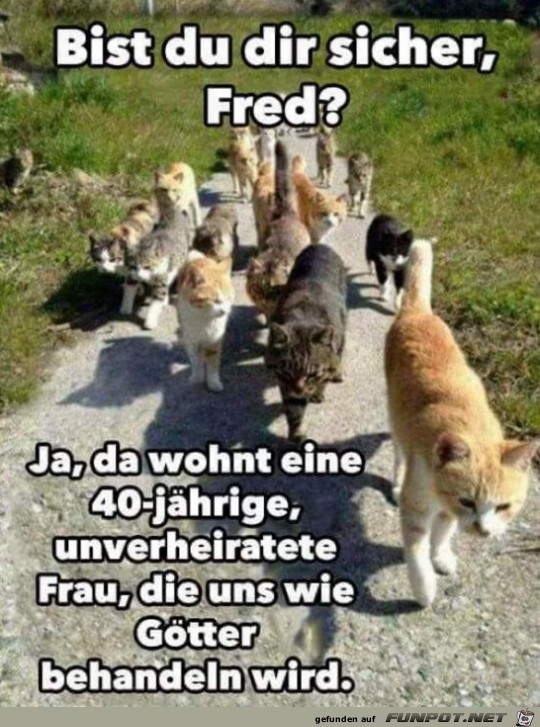 Bist du sicher Bist du sicher