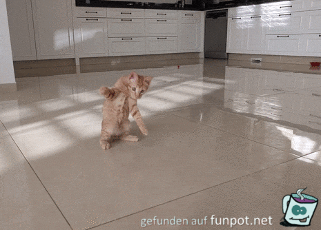 Ich halte jeden Ball Ich halte jeden Ball