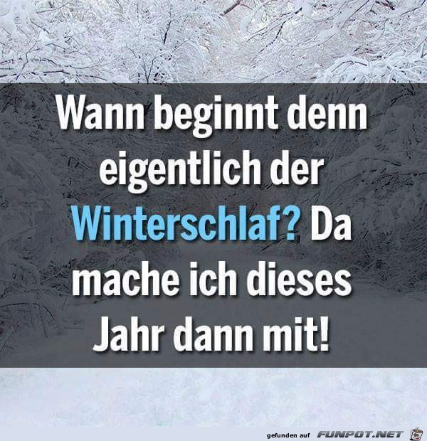 Wann beginnt der Winterschlaf