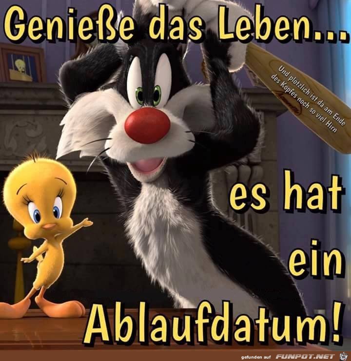 Geniesse das Leben