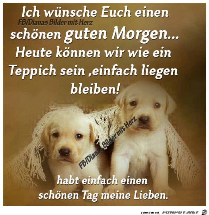 Schoenen guten Morgen Schoenen guten Morgen