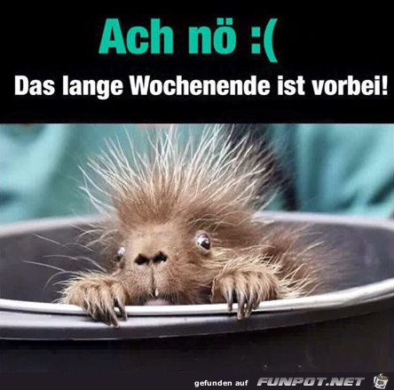 Wochenende ist rum