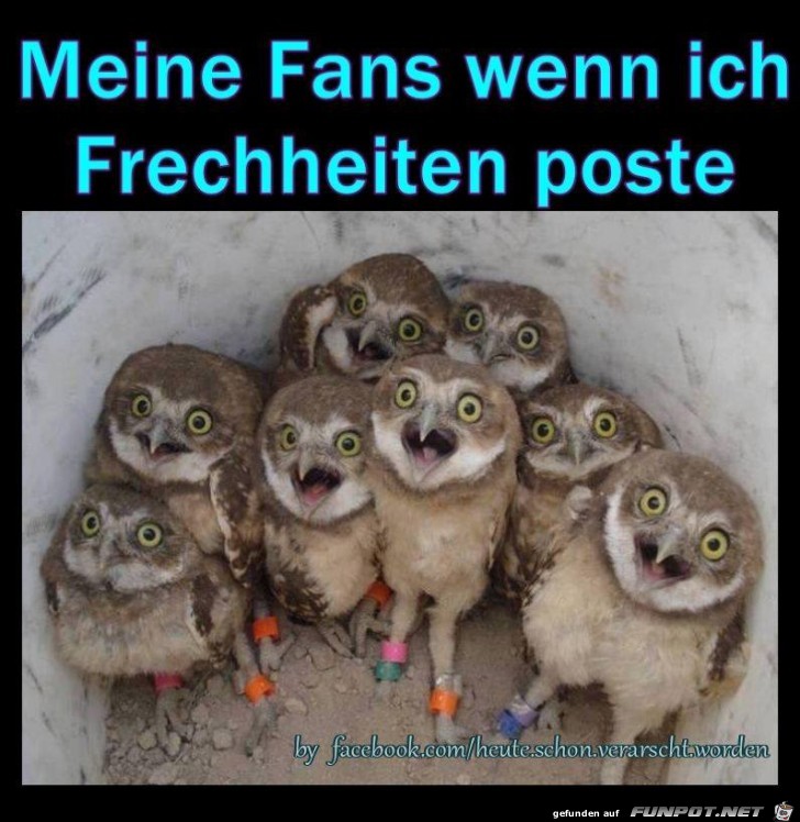 Meine Fans Meine Fans