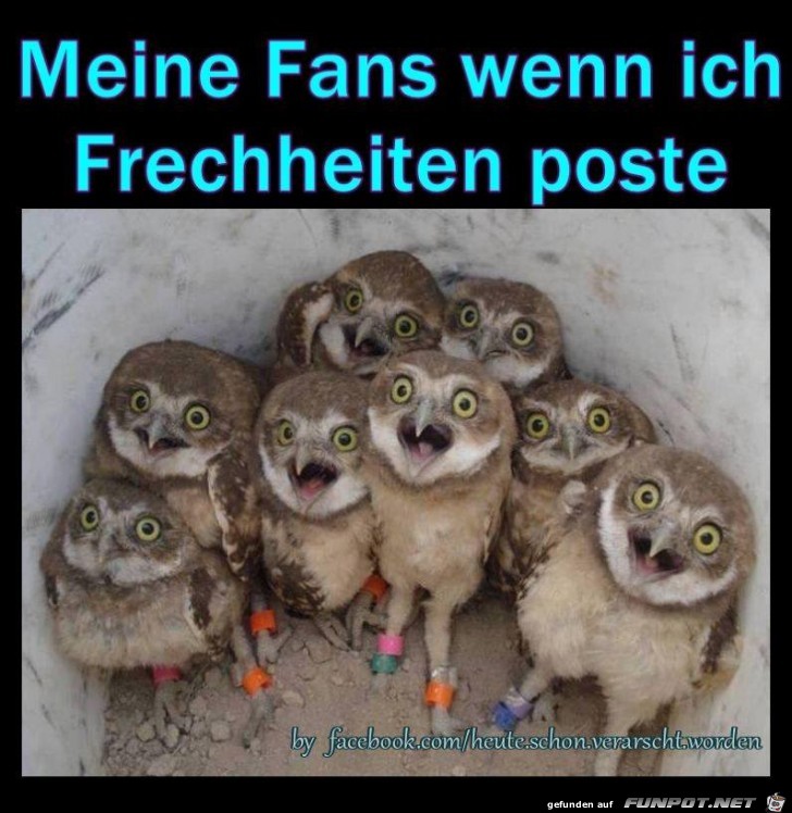 Meine Fans