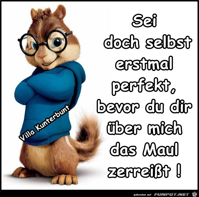 Sei doch selbst Sei doch selbst