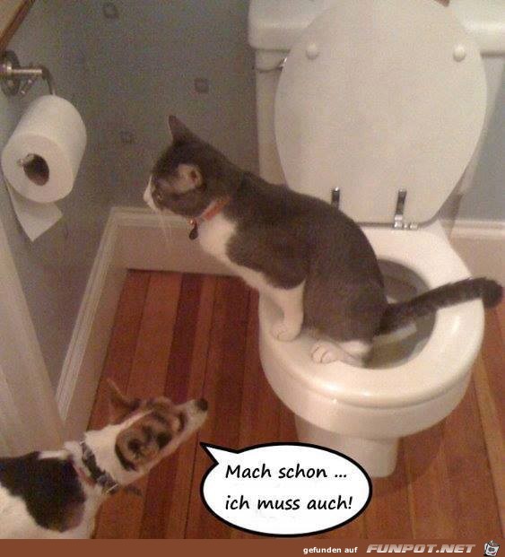 Mach schon Mach schon