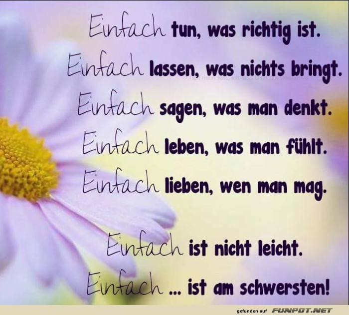 10 schöne Sprüche und Lebensweisheiten aus... 10 schöne Sprüche und Lebensweisheiten aus...