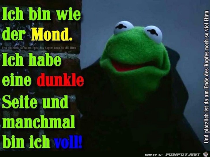 Ich bin wie der Mond