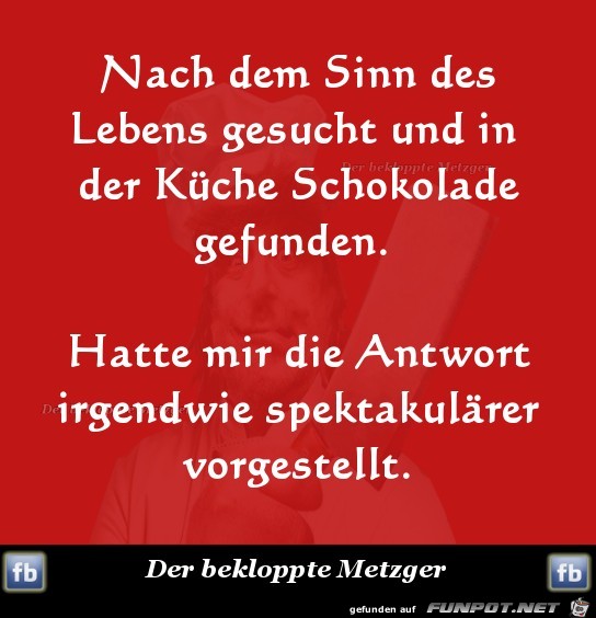 Nach dem Sinn des Lebens gesucht Nach dem Sinn des Lebens gesucht