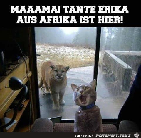 Maaama Maaama