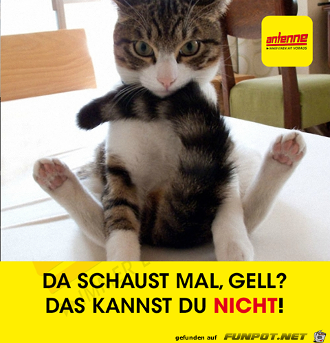 Da schaust mal Da schaust mal