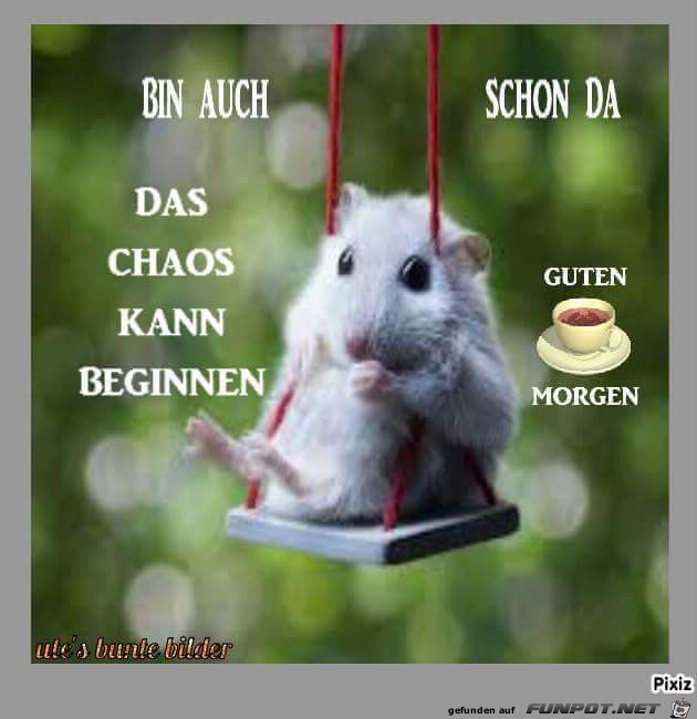 Bin auch schon da