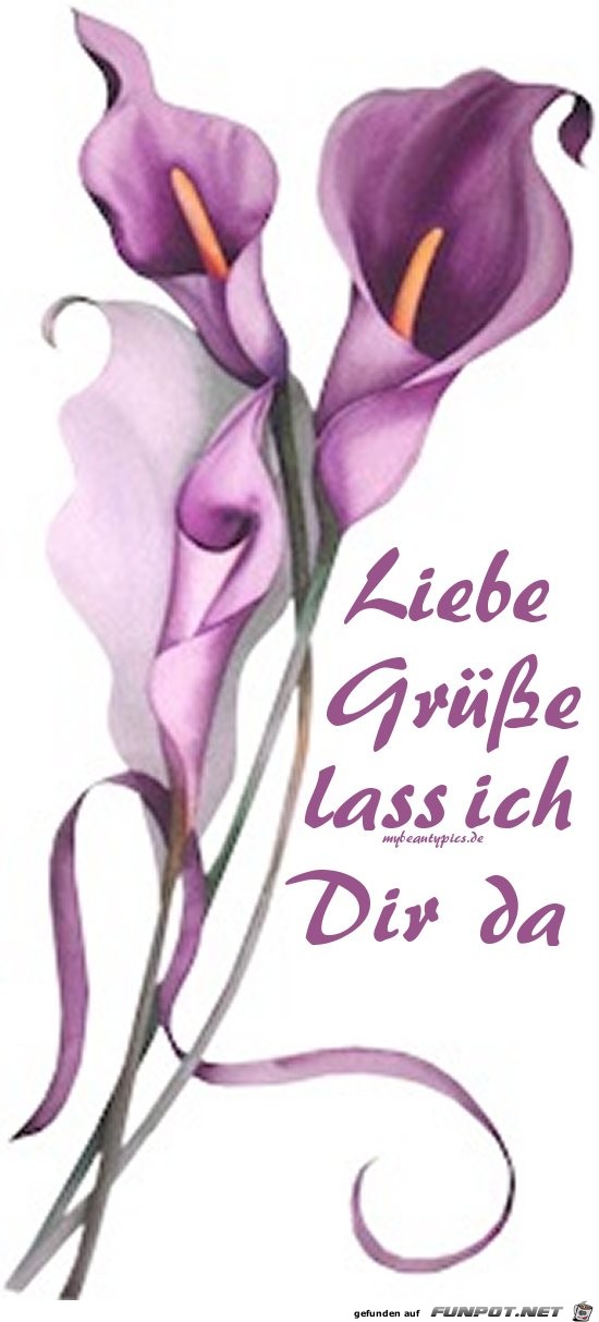 liebe gruesse 94