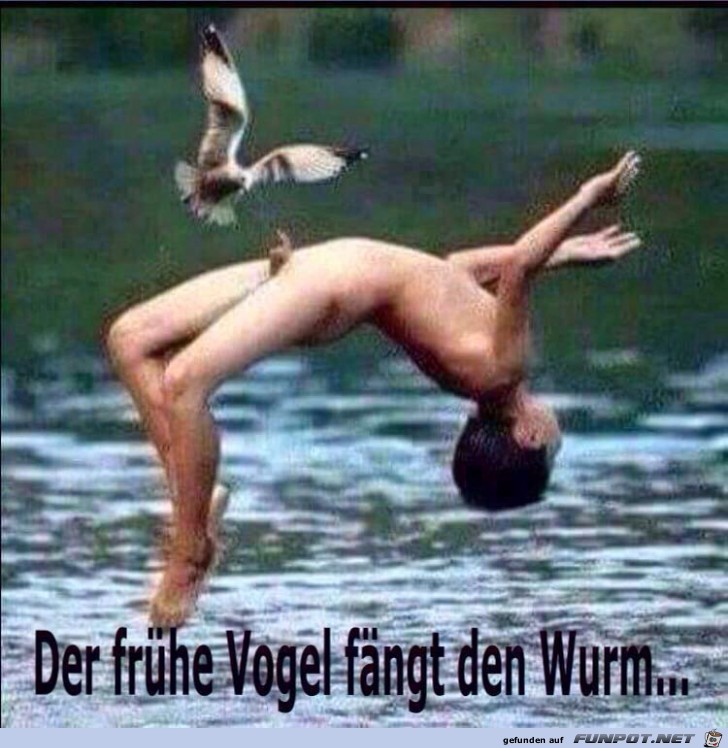 Der frhe Vogel....