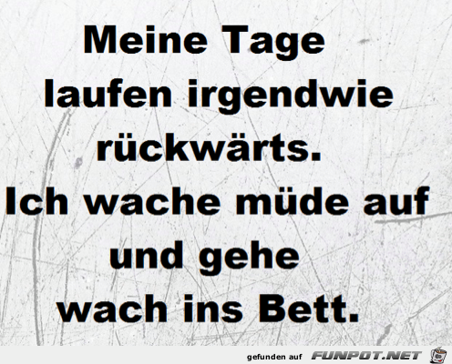 Meine Tage laufen rueckwaerts Meine Tage laufen rueckwaerts