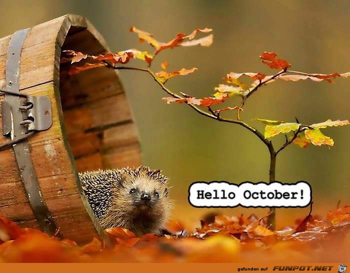 Hallo Oktober