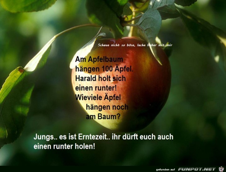 Apfelzeit Apfelzeit