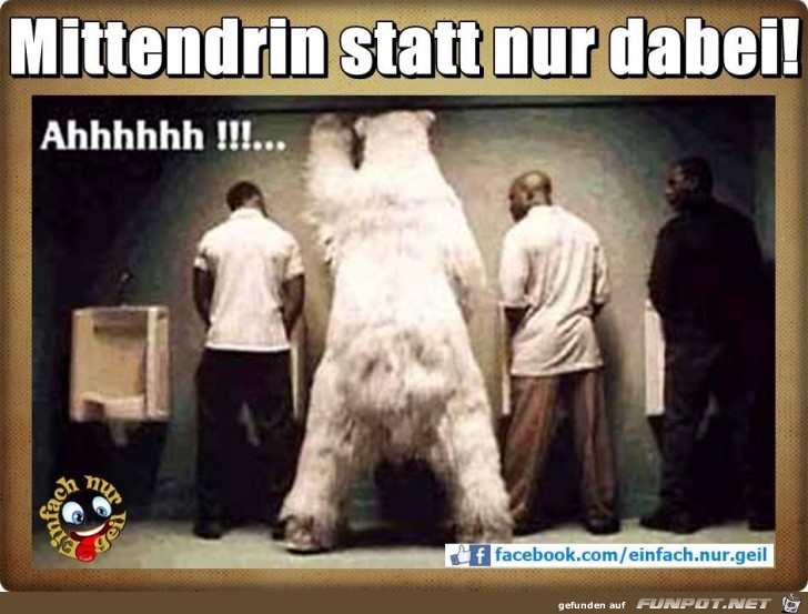 Mittendrin anstatt nur dabei! Mittendrin anstatt nur dabei!