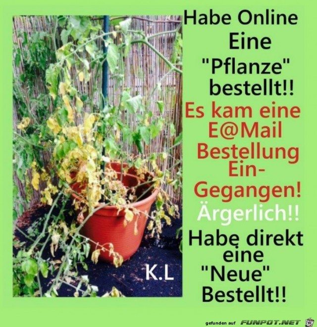 Habe online bestellt