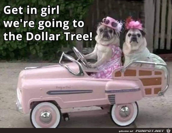 Get in Girl Get in Girl