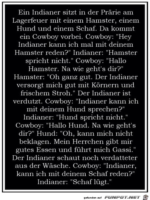 Cowboy und Indianer