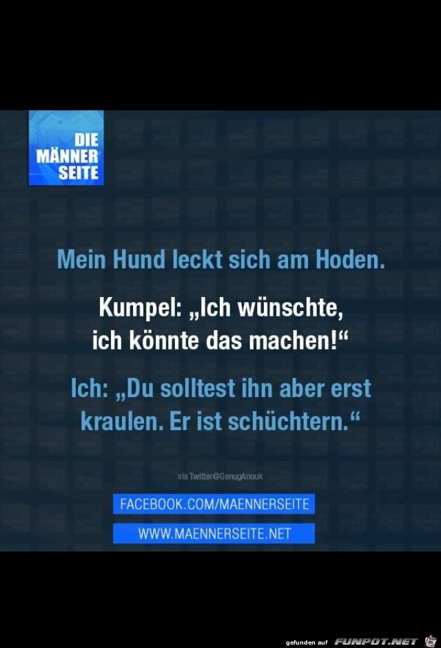 Mein Hund leckt sich Mein Hund leckt sich