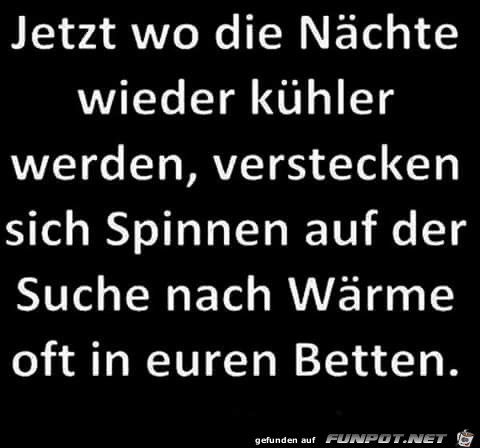 Jetzt wo die Naechte wieder kuehler werden