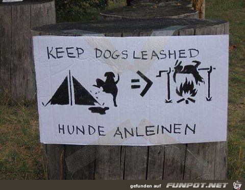 Lieber den Hund anleinen