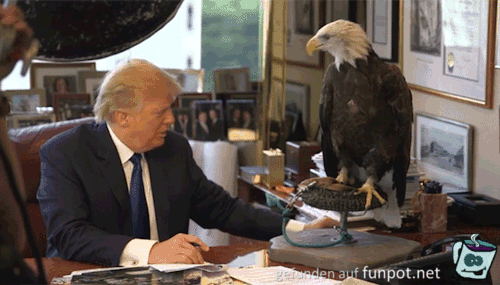 Braver Vogel Braver Vogel