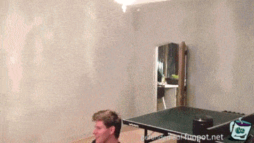 Idiot Idiot