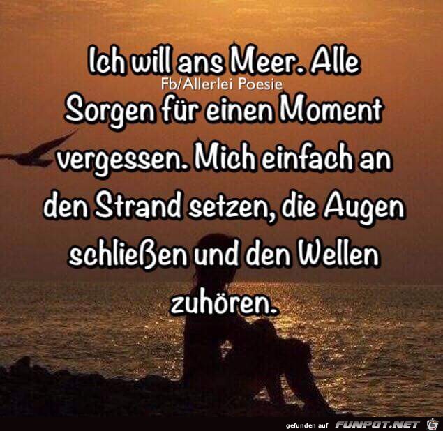 Will Ans Meer