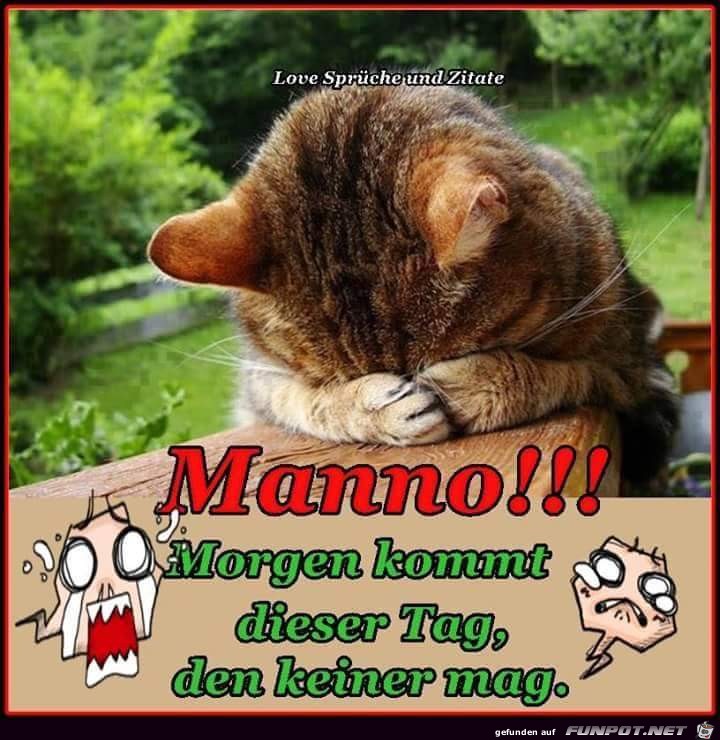 Montag Montag