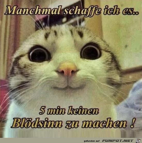 manchmal schaffe ich es.........