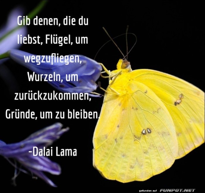 10 schöne Sprüche und Lebensweisheiten aus... 10 schöne Sprüche und Lebensweisheiten aus...