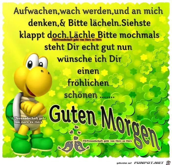 Aufwachen wach werden Aufwachen wach werden