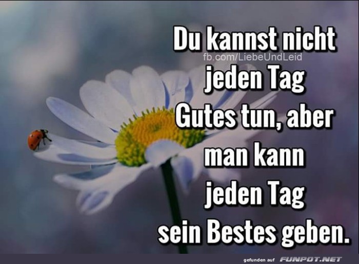 10 schöne Sprüche und Lebensweisheiten aus... 10 schöne Sprüche und Lebensweisheiten aus...