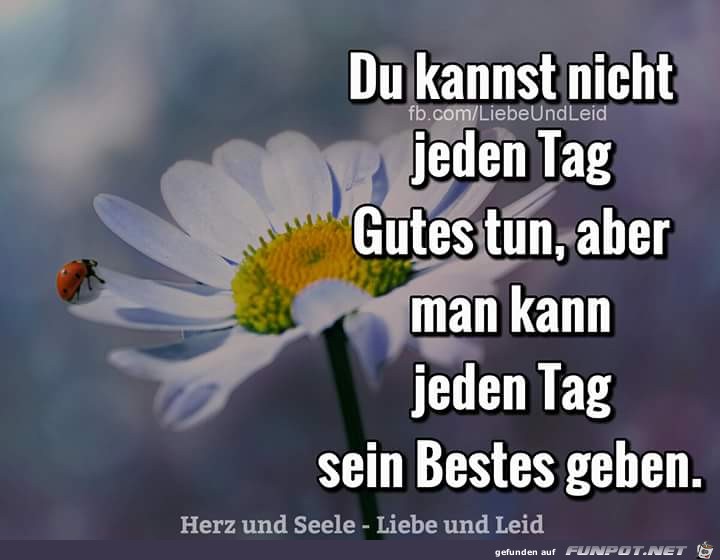Nicht jeden Tag Nicht jeden Tag