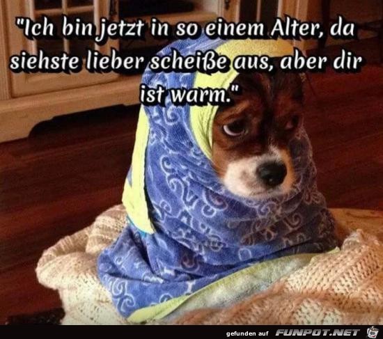 ich bin jetzt in so einem Alter..... ich bin jetzt in so einem Alter.....