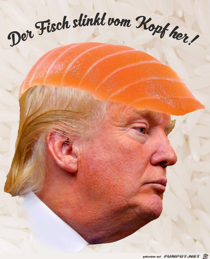 Der Fisch Der Fisch