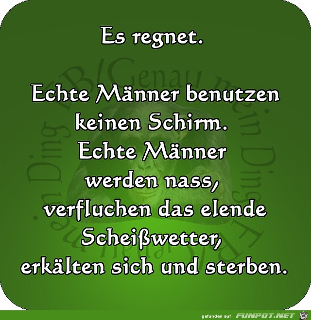 Es regnet Es regnet